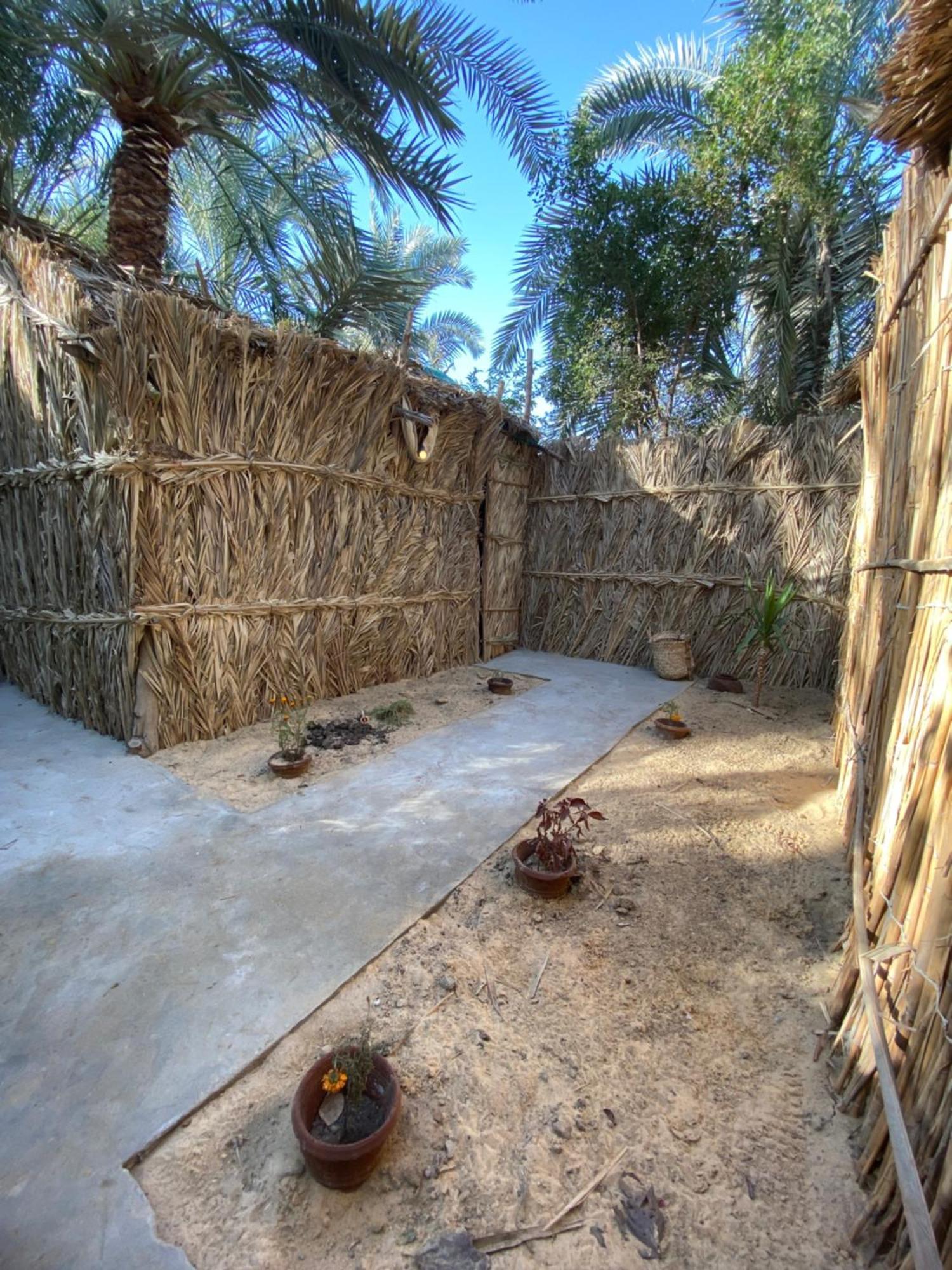 Forest Camp Siwa - كامب الغابة Siwa Oasis Exterior foto